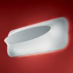 Ally 80 P PL Wall lamp/ceiling lamp FLUO