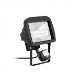 Cedro Pir projector Outdoor Black 1L 24w