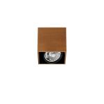 Compass Box 1L H: 160mm weiß C dimmable R111 1x70w