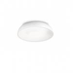 Tandem ceiling lamp 45cm 2Gx13 1x55w - white mate
