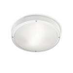 opal ceiling lamp Outdoor 36cm E27 2x30w white