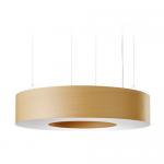 Saturnia Large Pendant Lamp dimmable control Remoto