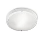 opal ceiling lamp Outdoor 30cm E27 2x23w white