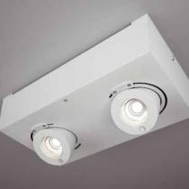 Bridge ceiling lamp Doble LED 2x10w driver incluido 30cm