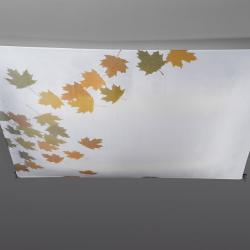Veroca Print 2 (Accessory) Autumn fabric