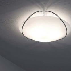 Iris ceiling lamp Chrome ø40 1x22w (FL) 2GX13