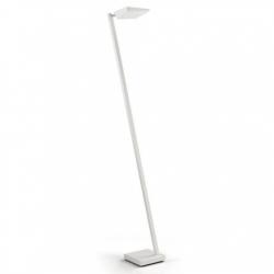 Ace Stehlampe