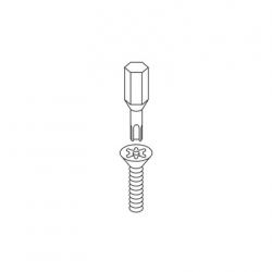 0245 Llave screws anti-theft
