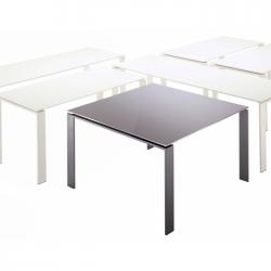 Four rechteckiger metallischer Tisch 223cm