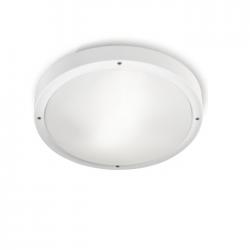 opal ceiling lamp Outdoor 30cm E27 2x23w white