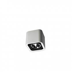 Baco luminaire de Surface Individuel QR 111 G53 75W blanc