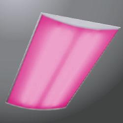 Lisa polycarbonate 4x18w magenta