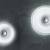 Imagen 2 de Planet P48 Wall Lamp 1x40W 2Gx13 white Satin