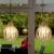 Imagen 9 de Agave Pendant Lamp ø26cm E27 21w Transparent