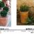 Imagen 2 de Calendula 53cm Rustica piantatore 52x52x63cm