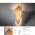 Imagen 2 de Sare Wall lamp G9 1x60w